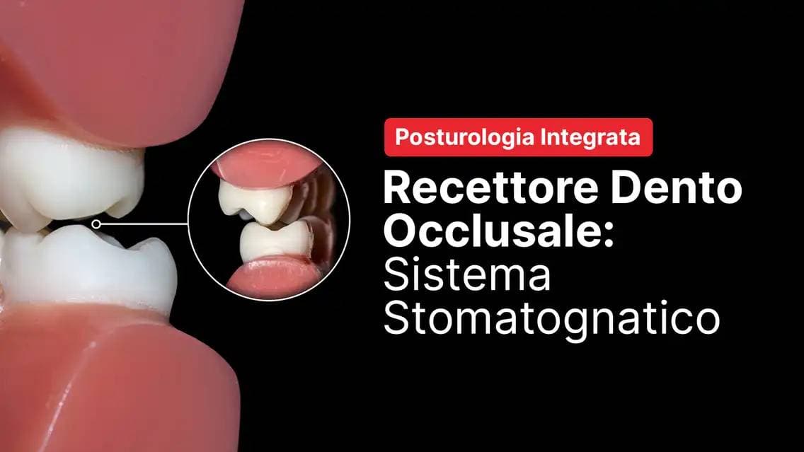 Recettore Dento Occlusale: sistema stomatognatico