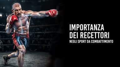 Importanza dei recettori negli sport da combattimento