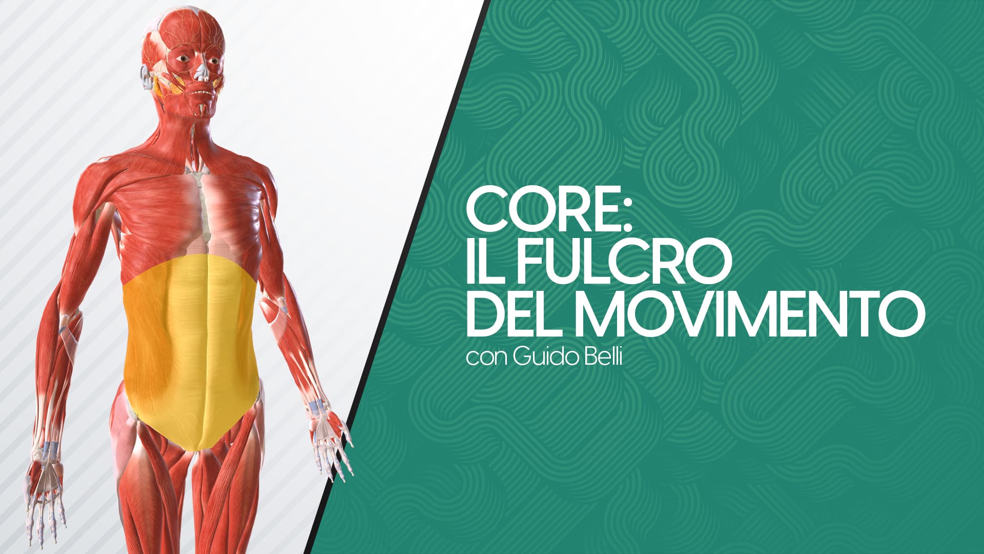 Core: il fulcro del movimento