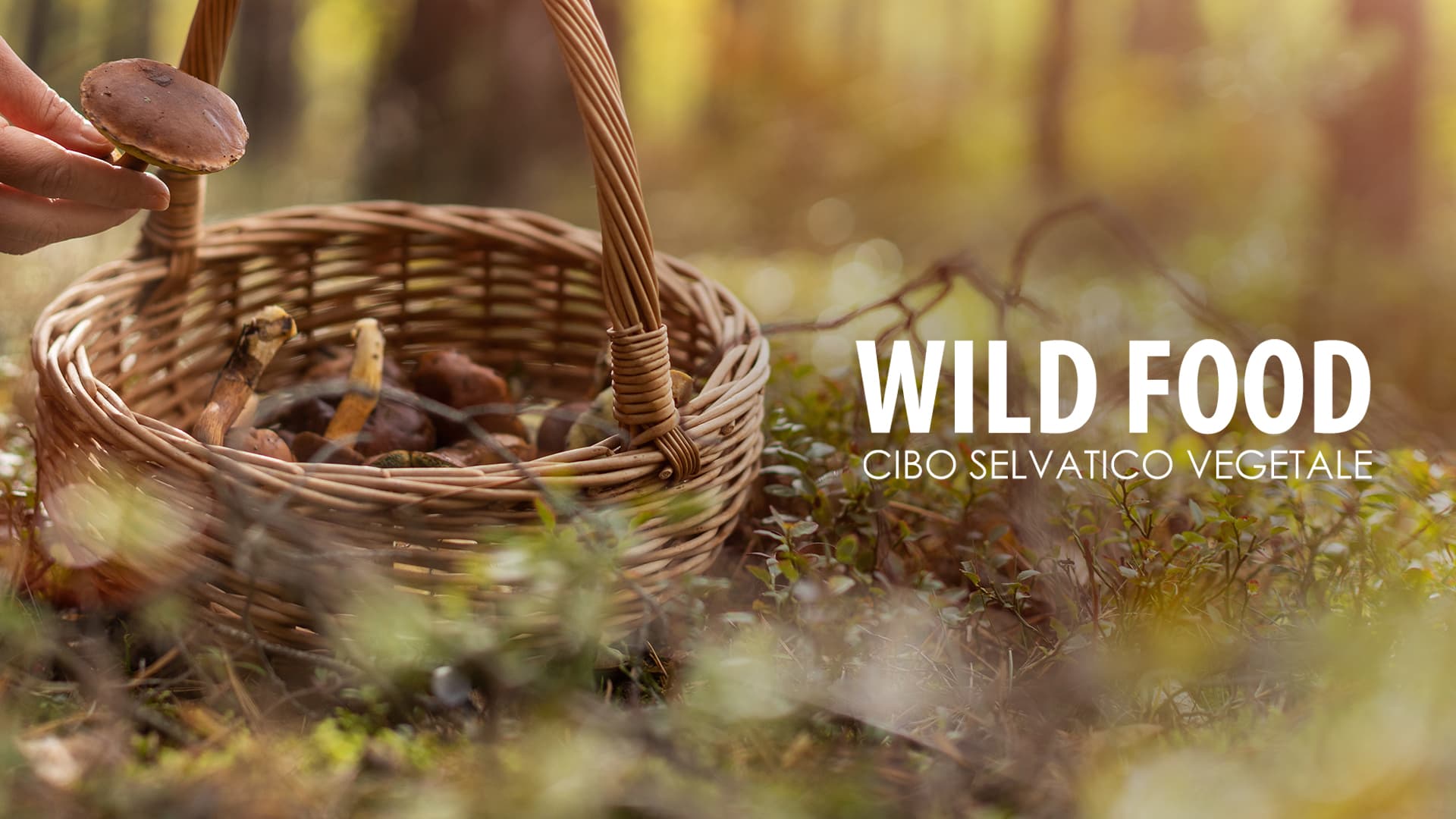 Wild Food: cibo selvatico vegetale