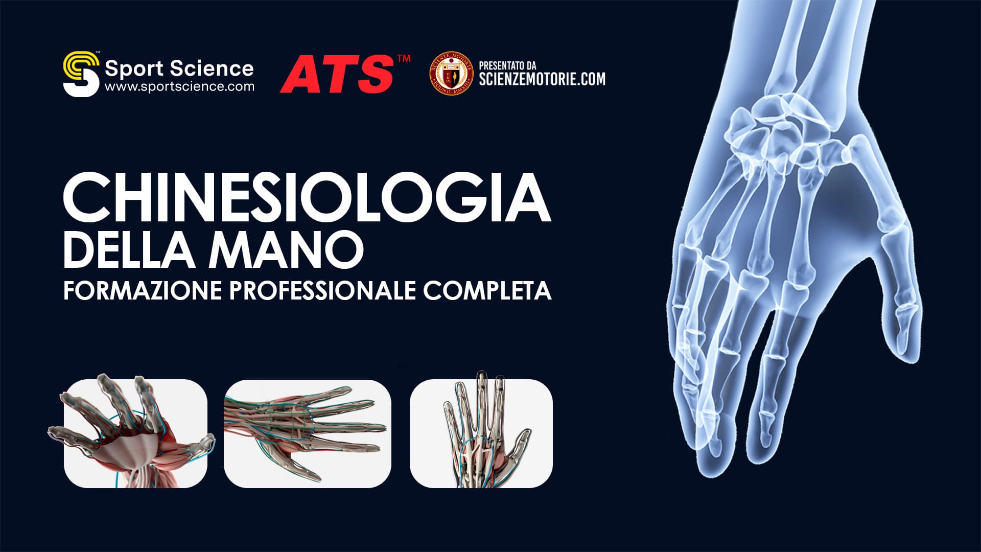 Chinesiologia della Mano