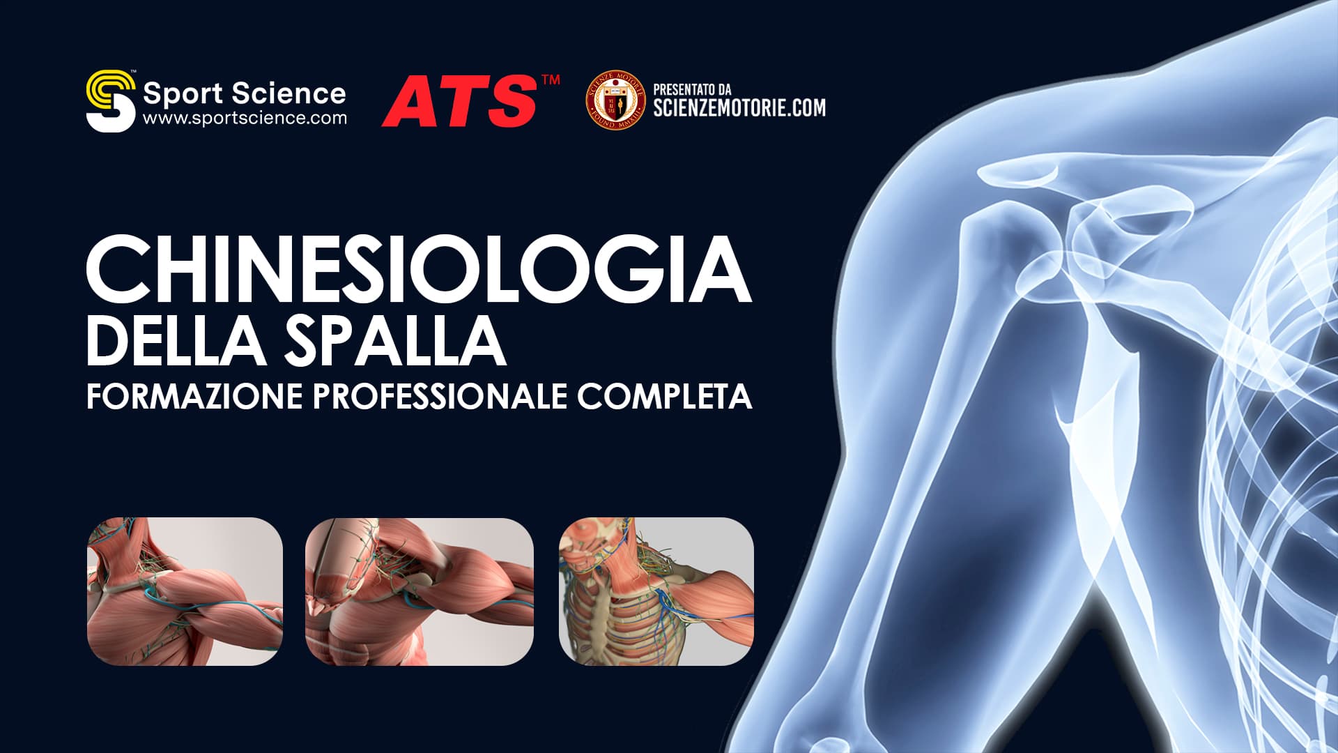 Chinesiologia della Spalla