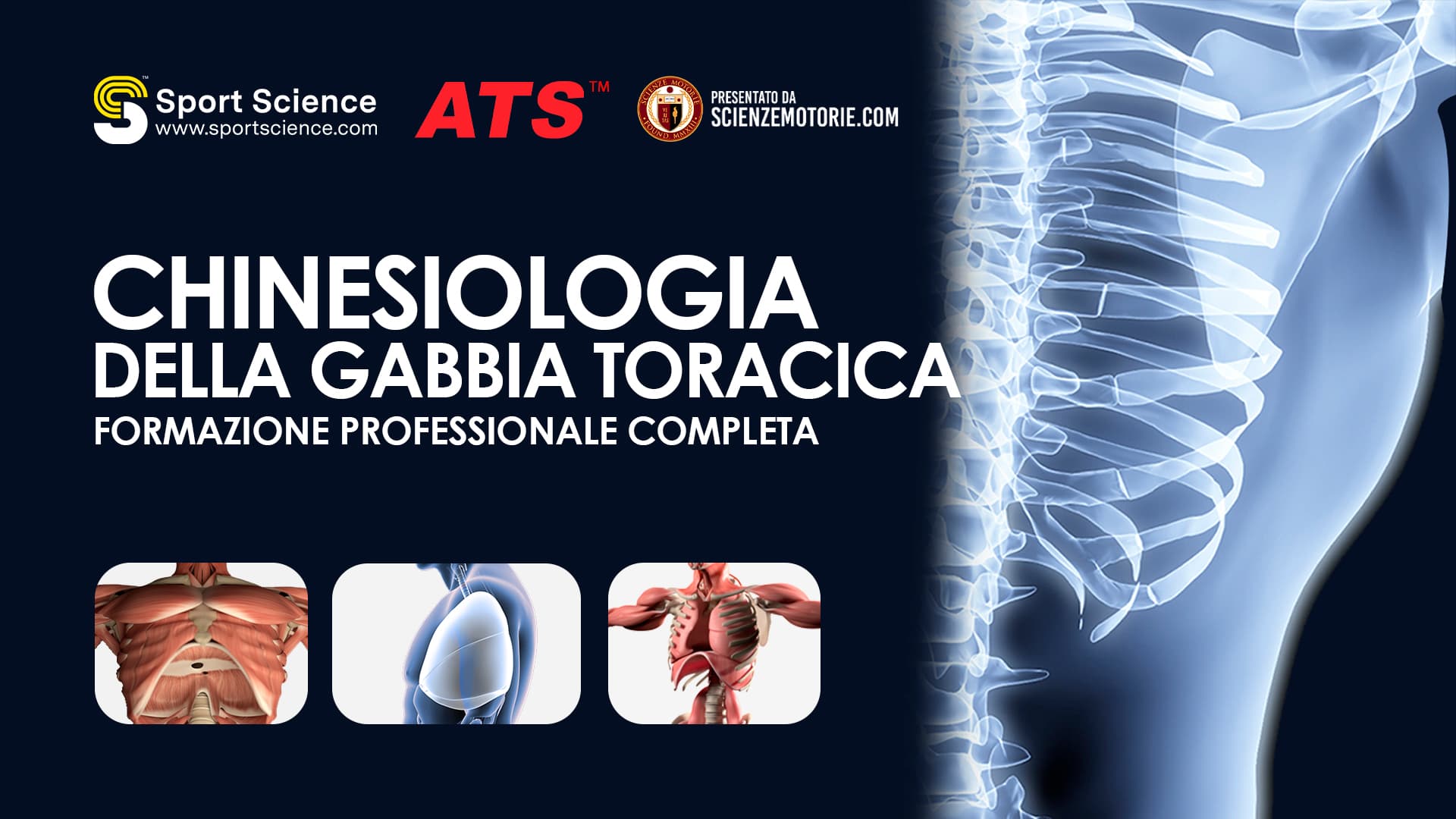 Chinesiologia della Gabbia Toracica