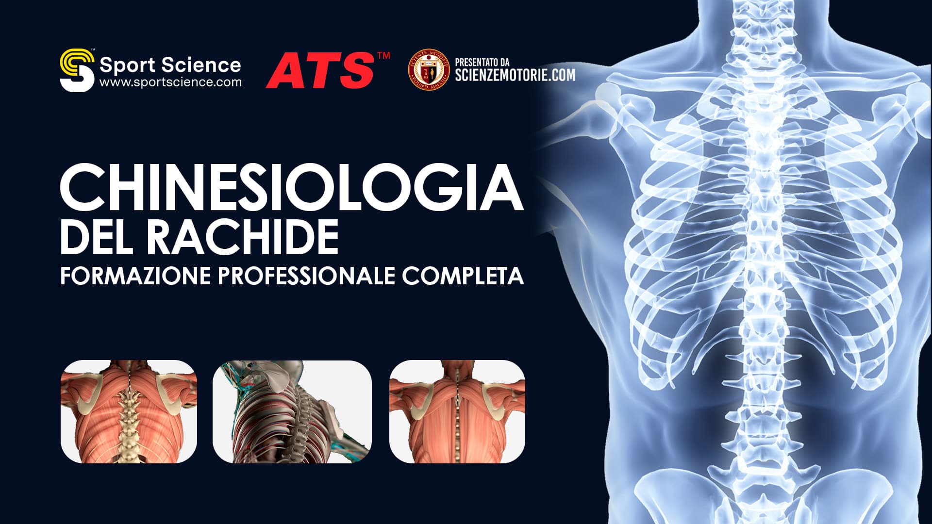 Chinesiologia del Rachide