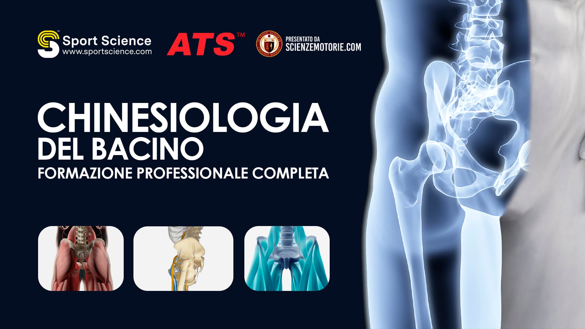 Chinesiologia del Bacino