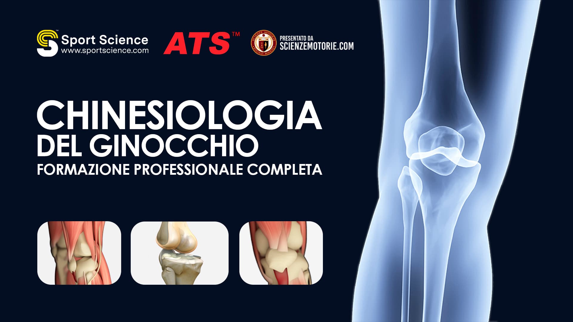 Chinesiologia del Ginocchio