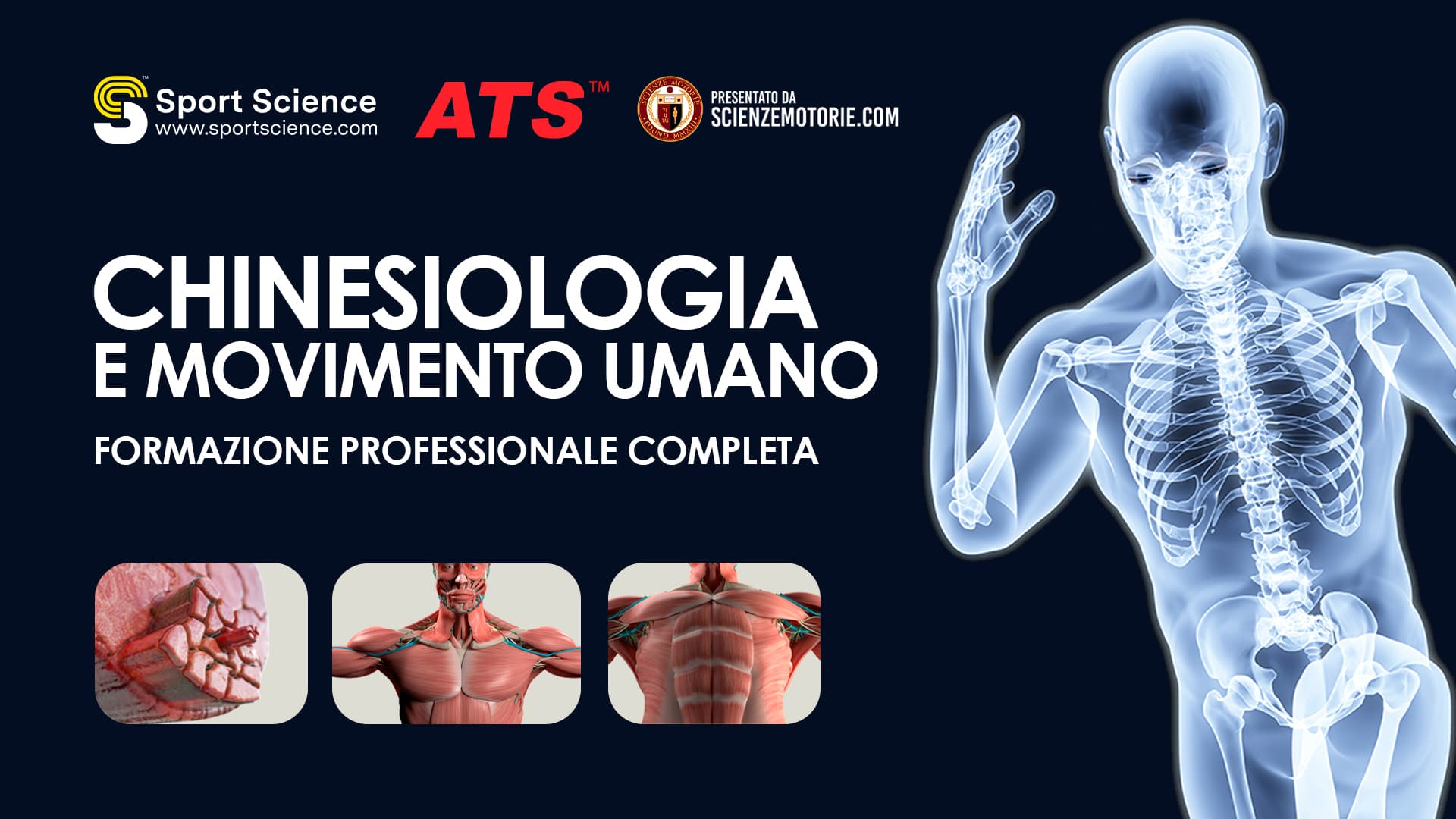 Chinesiologia e movimento umano