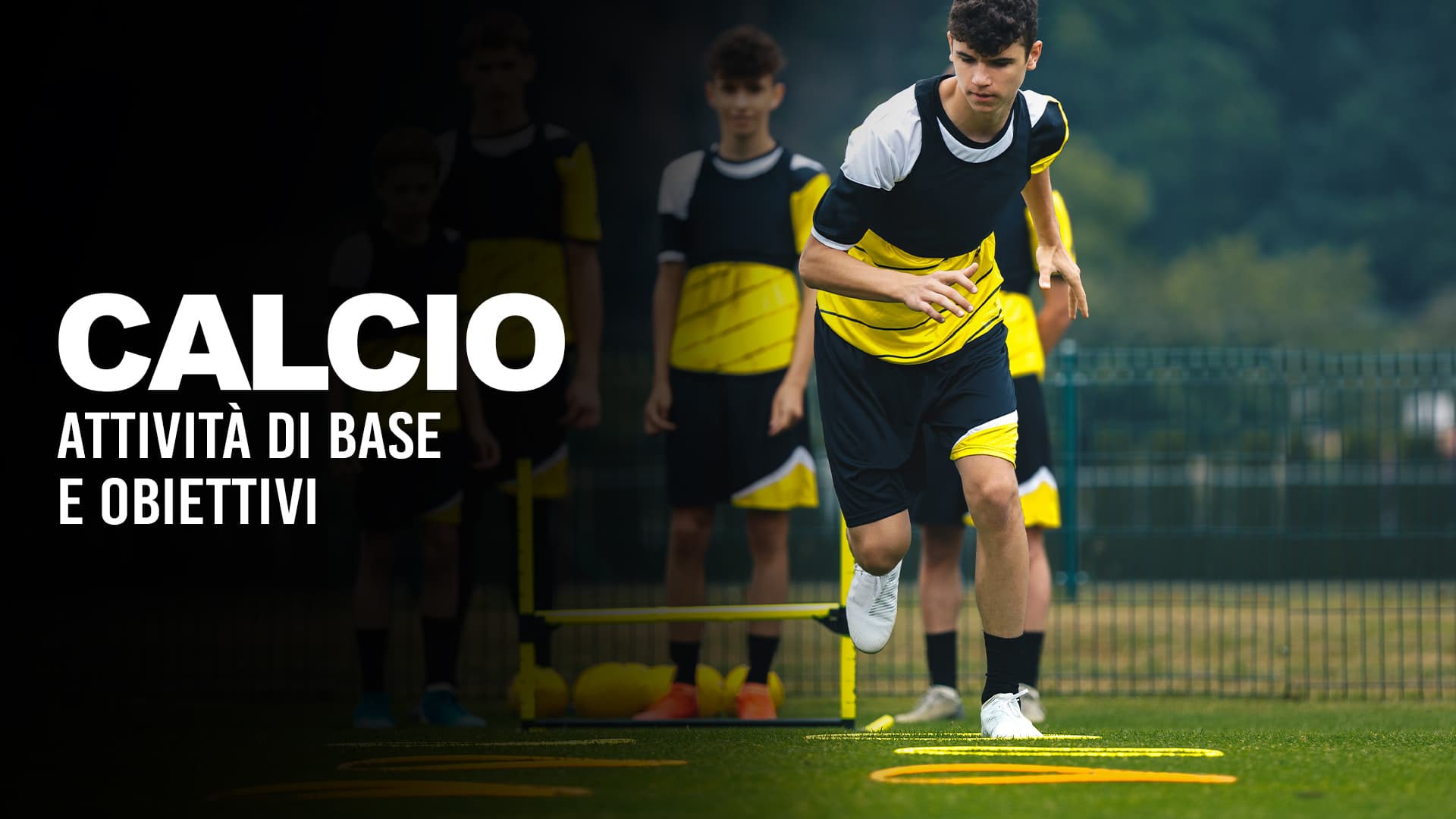 Attività di base e obiettivi
