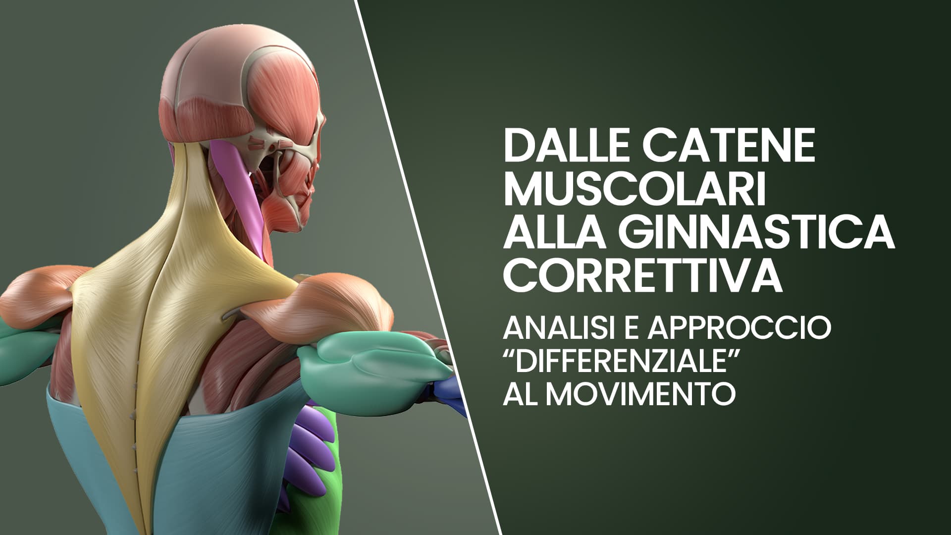 Dalle Catene Muscolari alla Ginnastica Correttiva