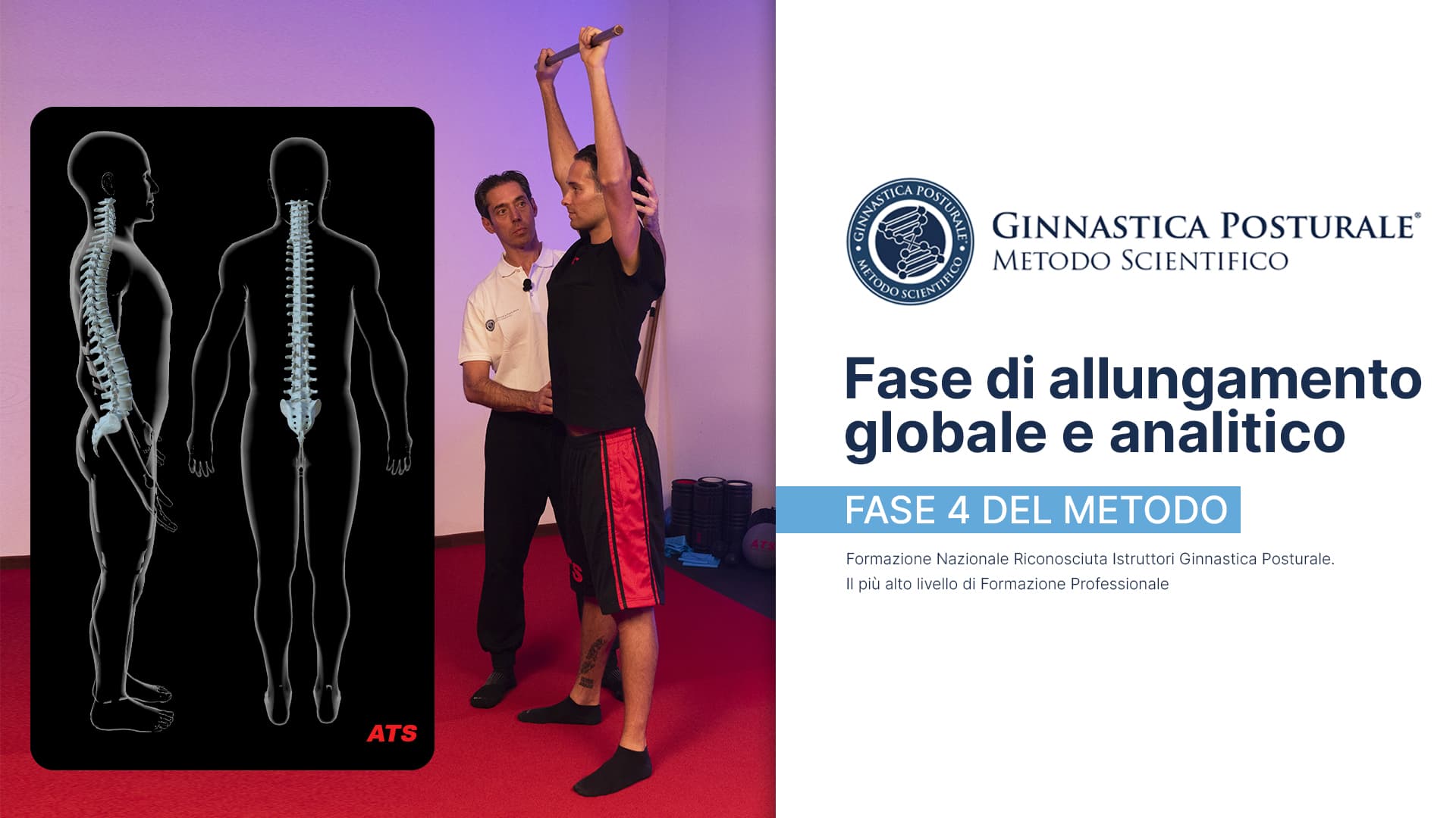 Fase 4 del Metodo Ginnastica Posturale: allungamento globale e analitico