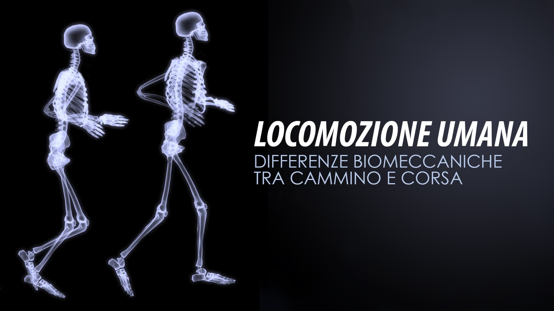 Locomozione umana: differenze biomeccaniche tra cammino e corsa