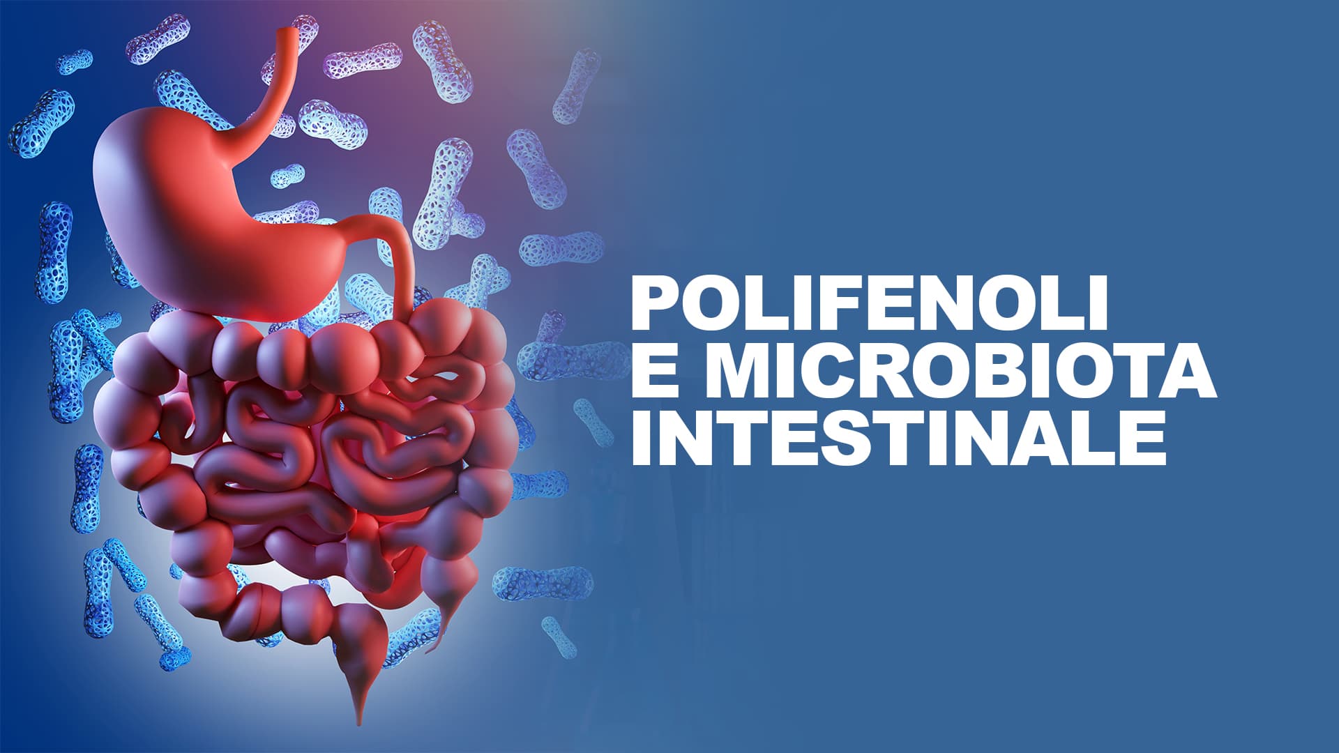 Polifenoli e microbiota intestinale