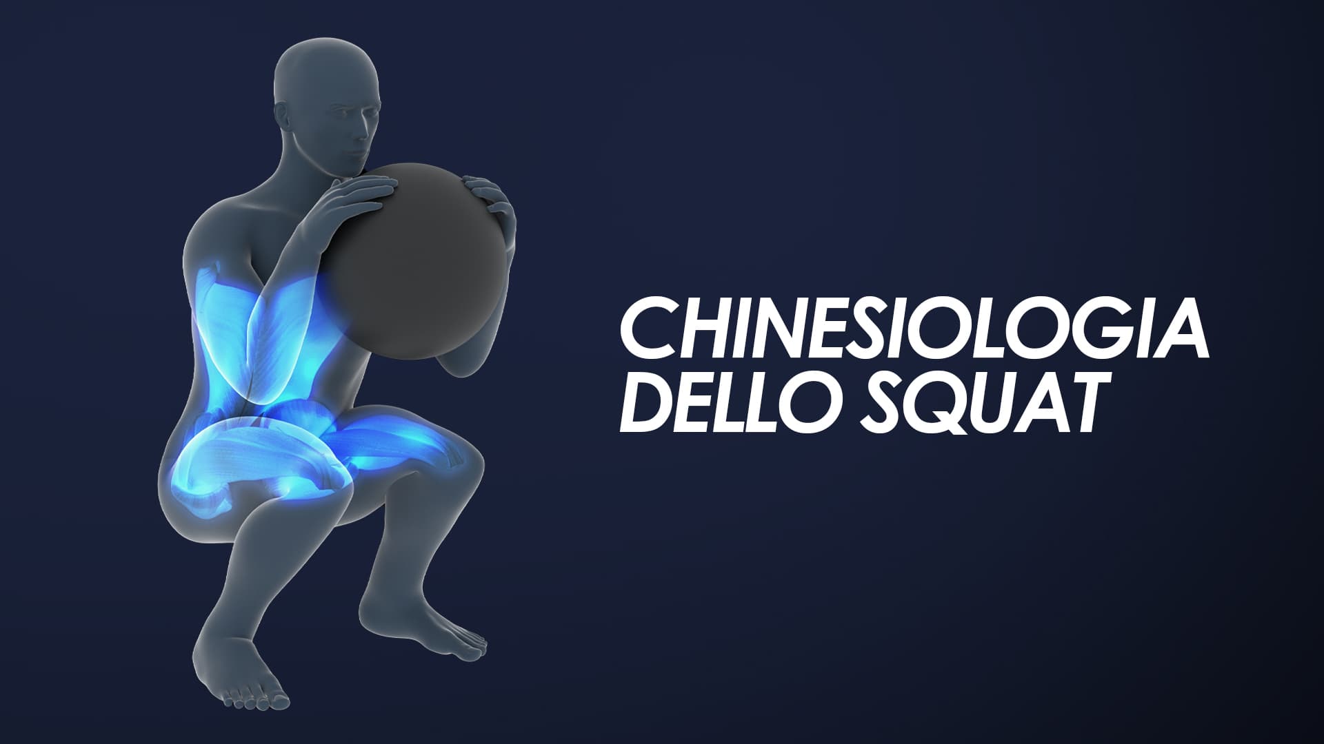 Chinesiologia dello squat