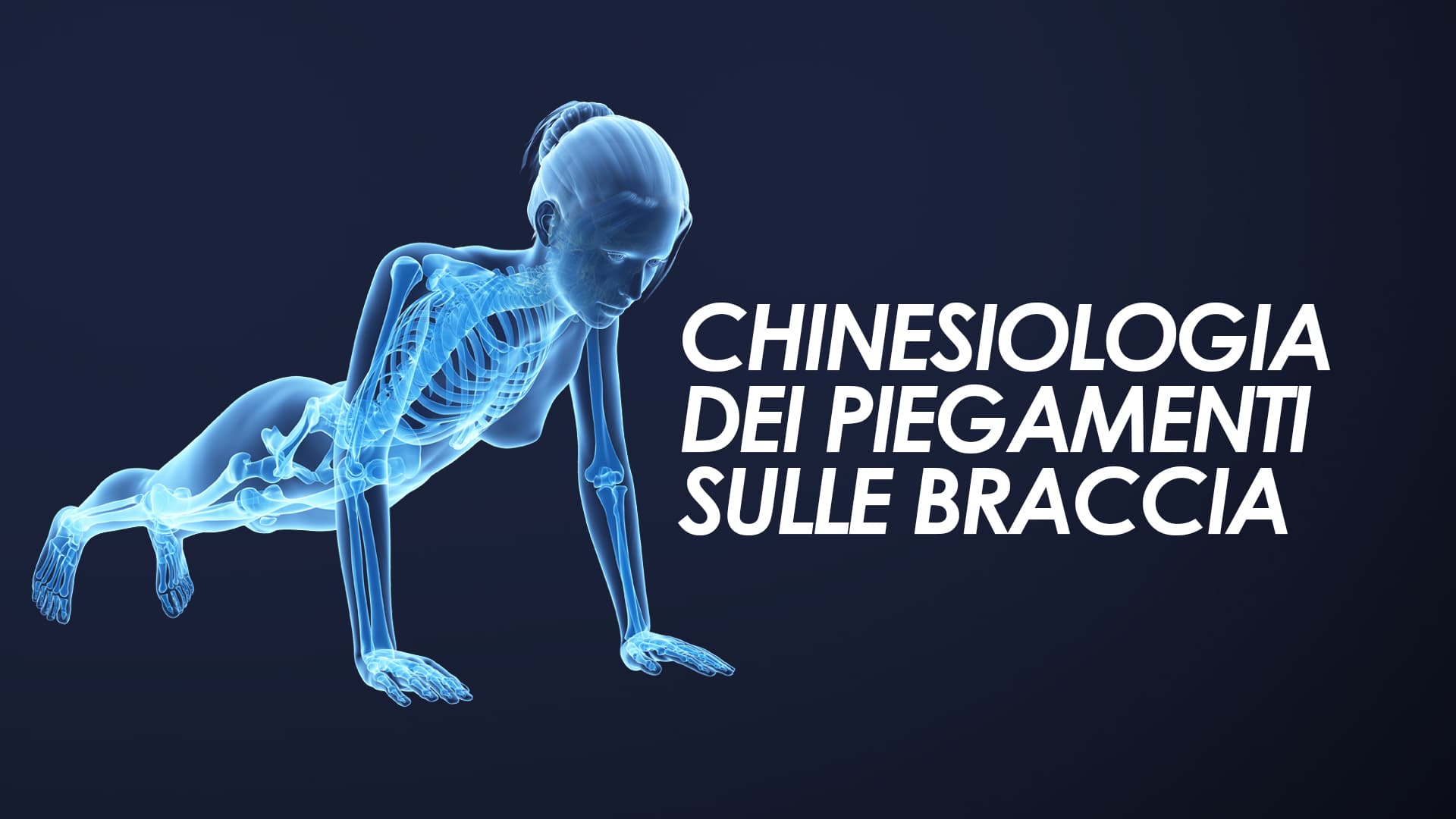 Chinesiologia dei piegamenti sulle braccia