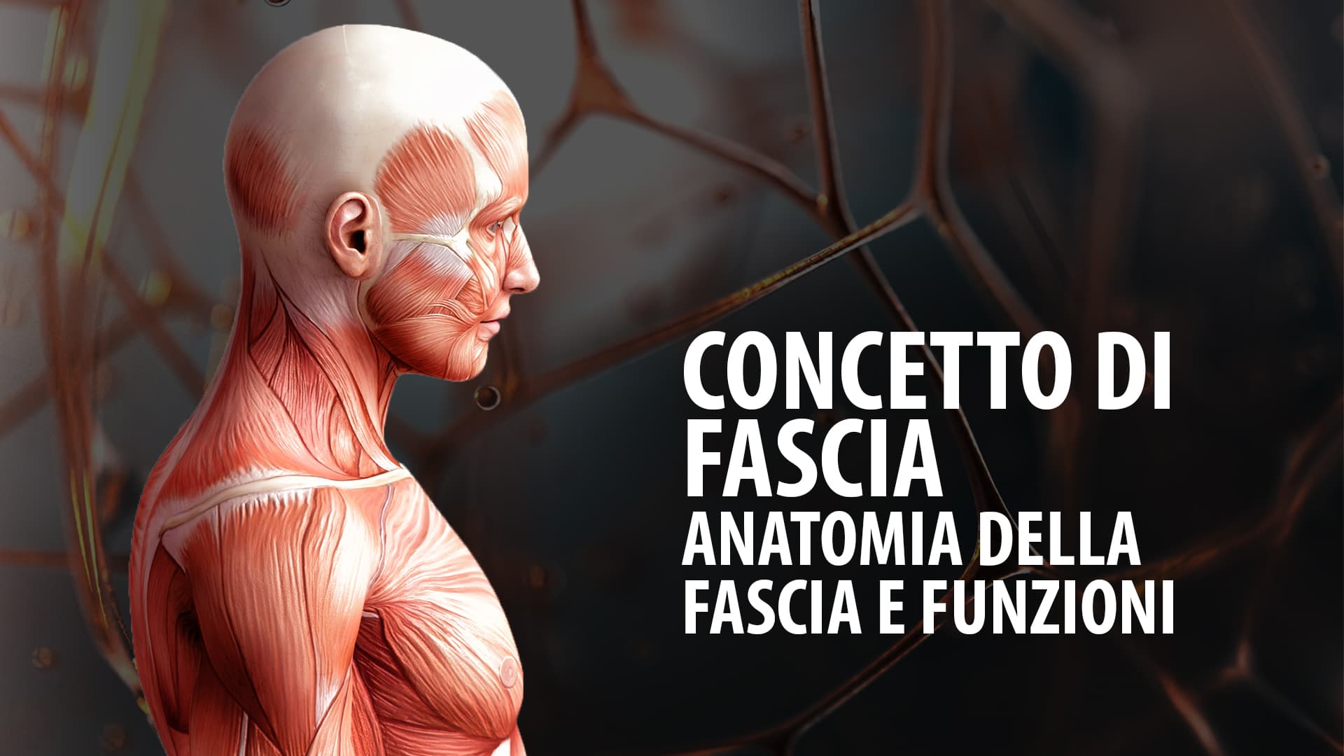Concetto di fascia