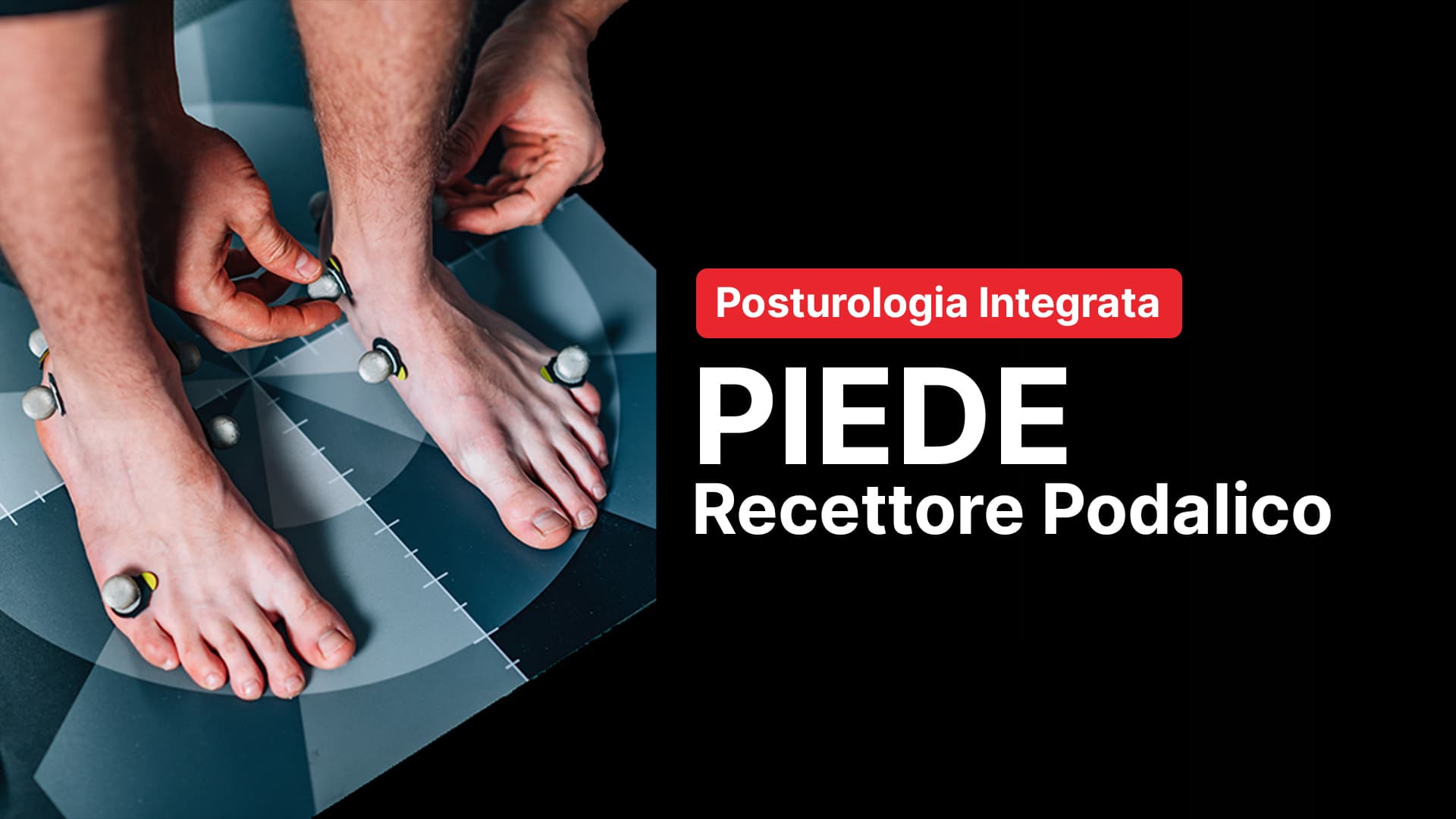 Recettore podalico: il piede