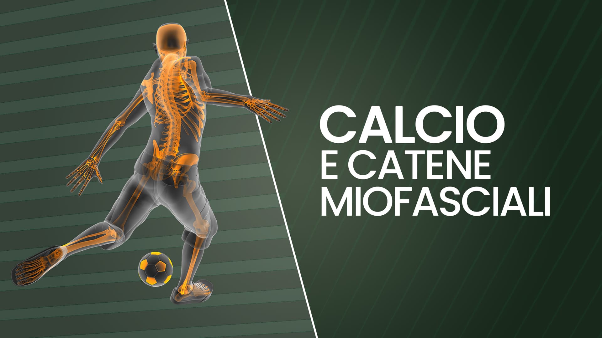 Calcio e catene miofasciali