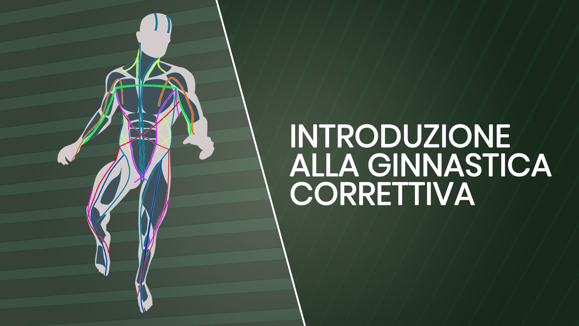 Introduzione alla Ginnastica Correttiva