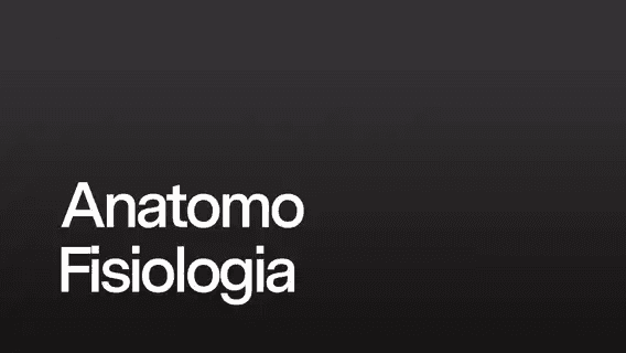 Anatomo Fisiologia