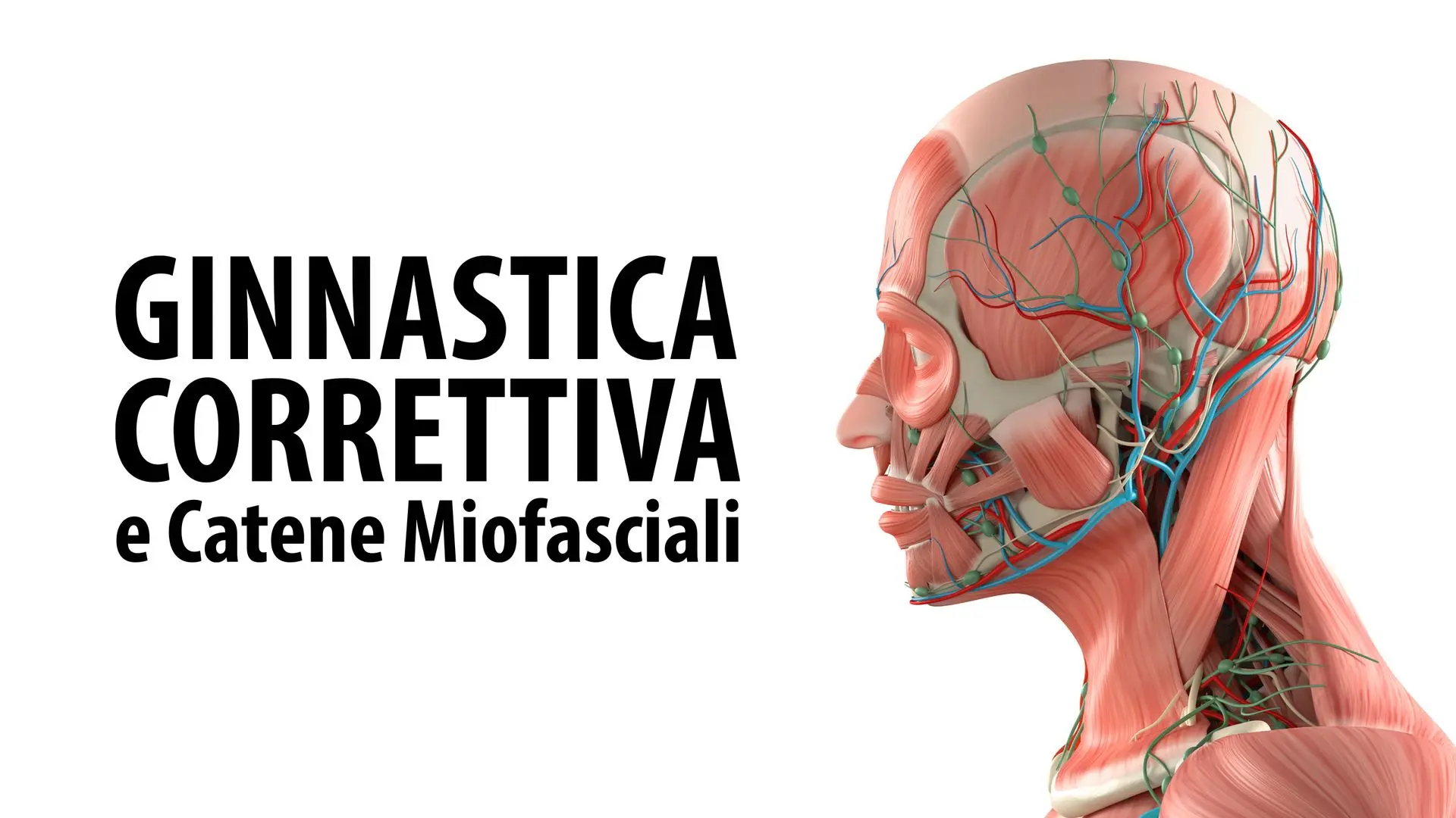 Versione Multilingua